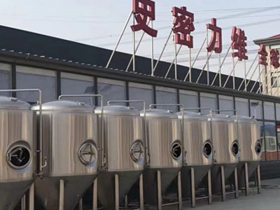 南京精酿啤酒设备厂—市场规模与跨界新需求